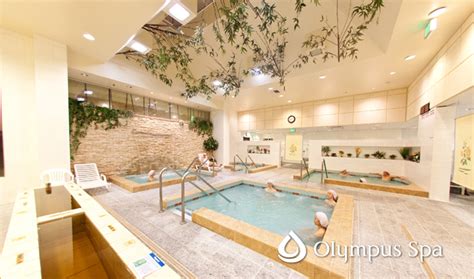 olympus spa lynnwood|olympus spa lynnwood news.